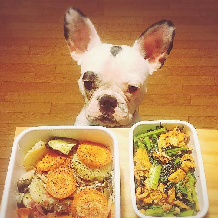 Cff4c65a 6186 46c5 b4a3 9fff16de73b0