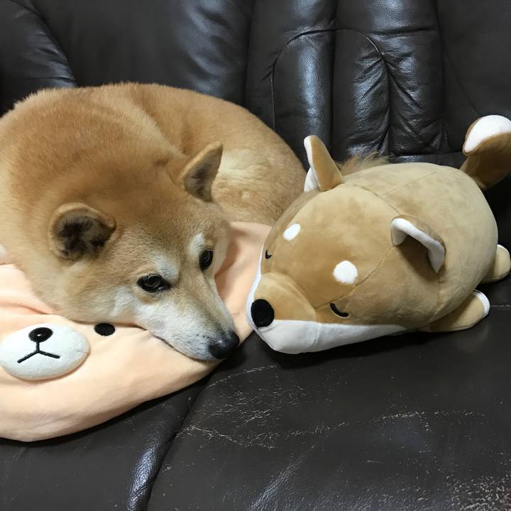 Cff5243f b80f 491b 8870 6fc204a0ef43