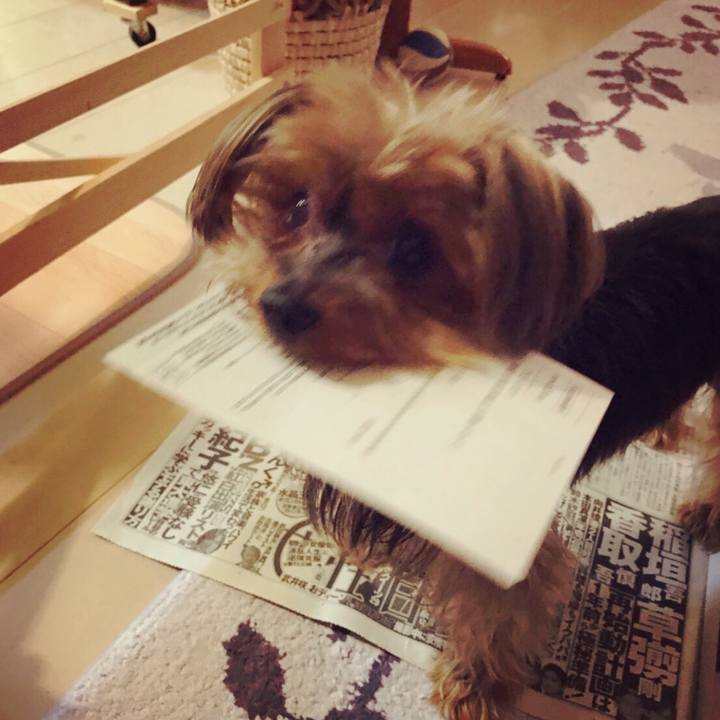 Cff54ff7 76ac 4604 94f4 0cf11329d598