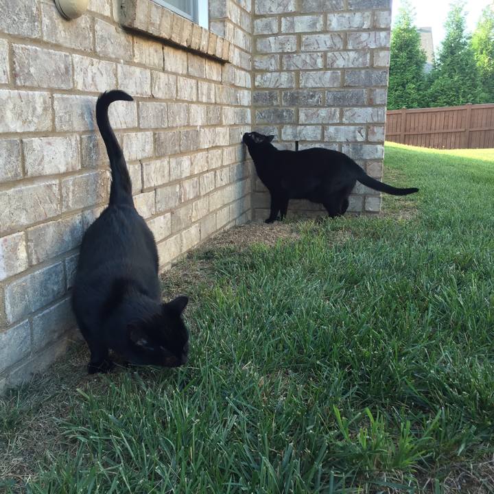 Cff5c96e 5c3c 4034 b0de f106838e8e40