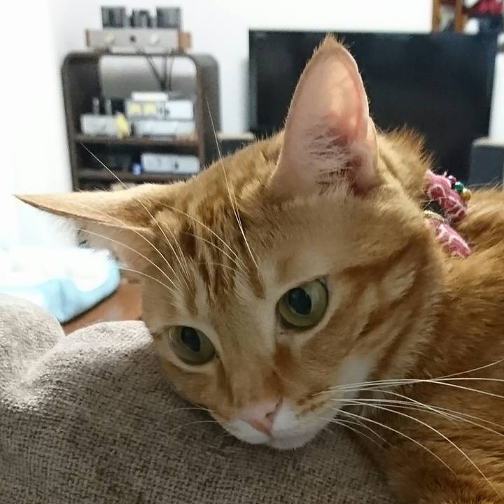 Cff6812b 8adf 43df 97ba cb306ea3175c