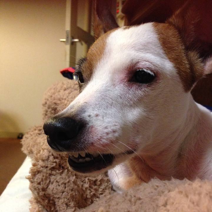 Cff6dd93 bef4 4cf5 85fd 00ef36131ce5