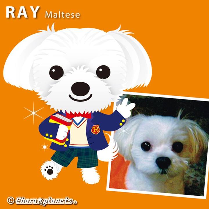 Cff6de78 2136 496d 811d 25cafb36d6f0