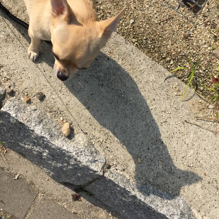 Cff75582 268c 4512 be80 24d6ce5d133f