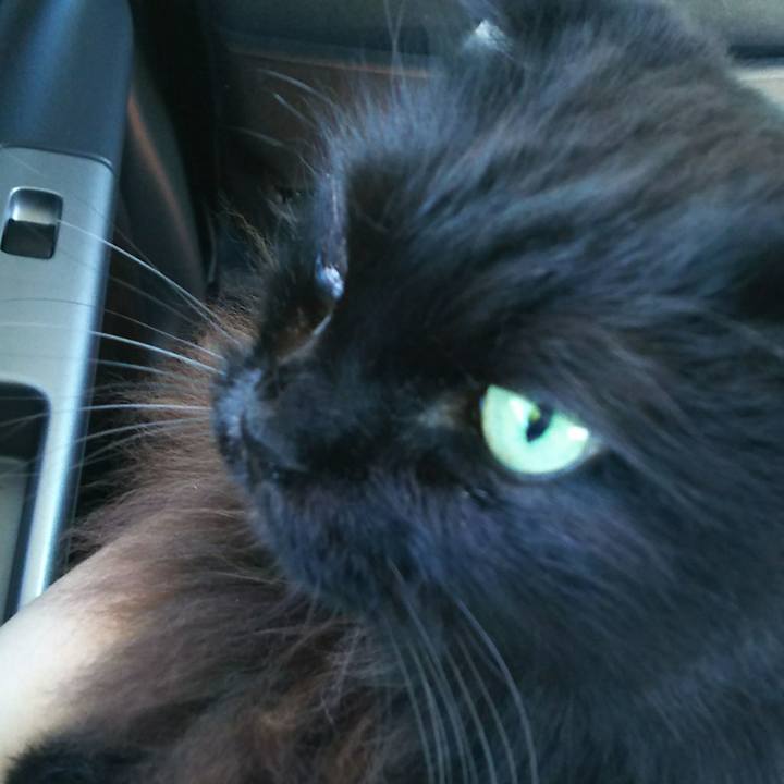 Cff77e1f 1533 48c0 8717 2614c17c0eea