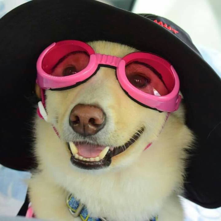 Cff8927d ef36 47d7 aef1 0d7246580d65