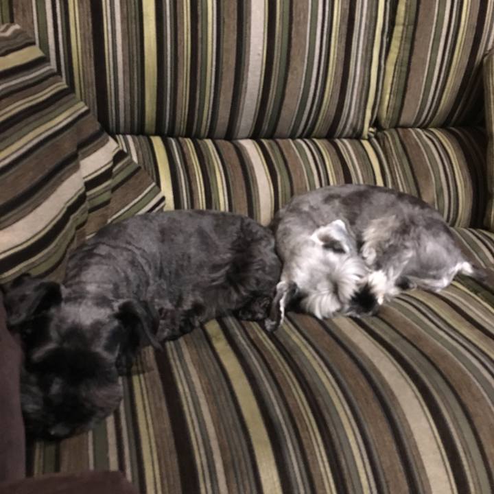 Cff8cef0 ec98 4189 8a90 2c872aafa8c8