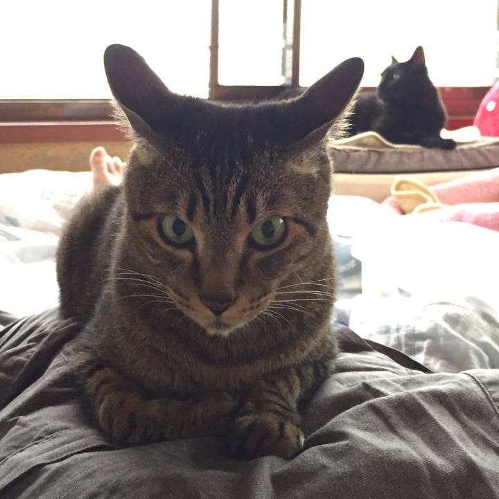 Cffad8a0 9ddf 47fc 8f1b b7300c369937