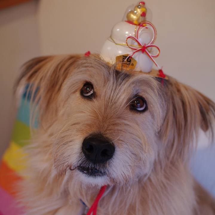 Cffbfecc 84ba 4a41 8ea5 c9e563e71157