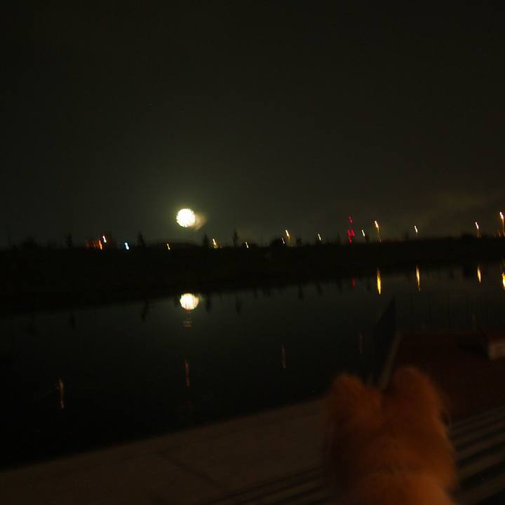 Cffc2124 589b 48fe b7ca 6534327f5fc5