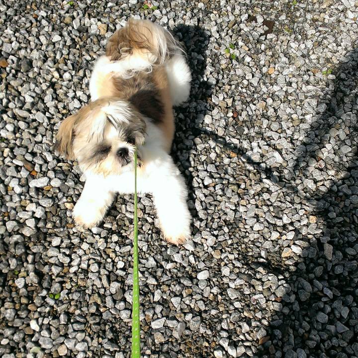 Cffd2d5f e0d5 423f b936 44e679572066