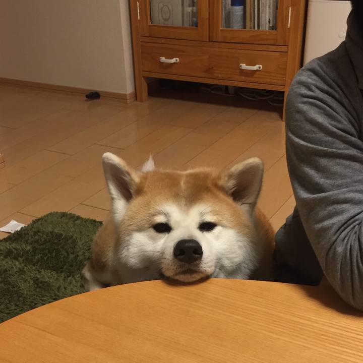 Cffde6f7 e455 45ea 99a3 08590c518aab