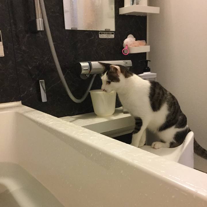 Cffdee81 1cfe 4aaa 8159 d7d9da789c83