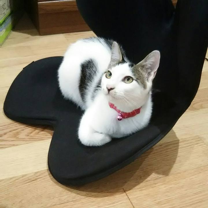 Cffec7e6 1cbe 40b7 a457 0932fa4af89d