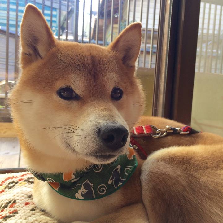 Cfff3d32 4a34 46fe 8c4d fddf33b5e882