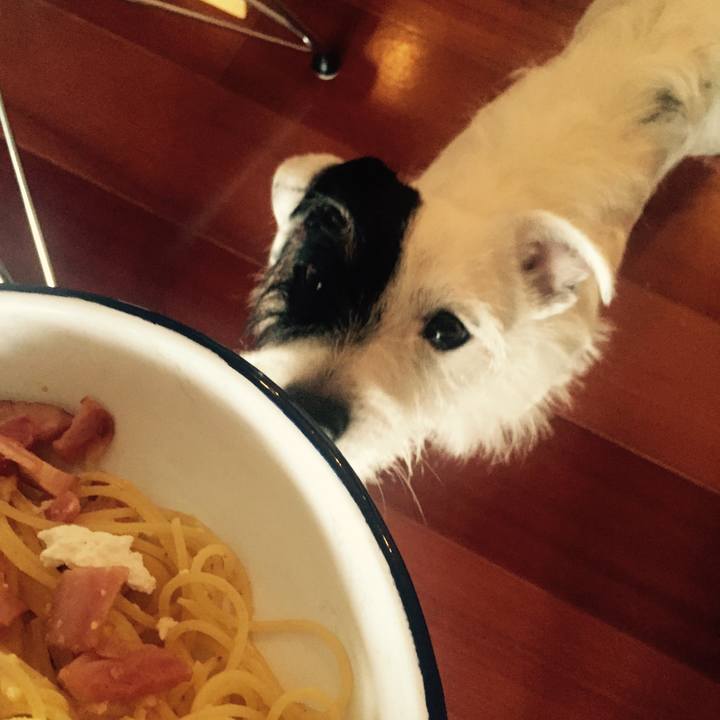 Cfff6963 f053 456b a864 3e425710d764