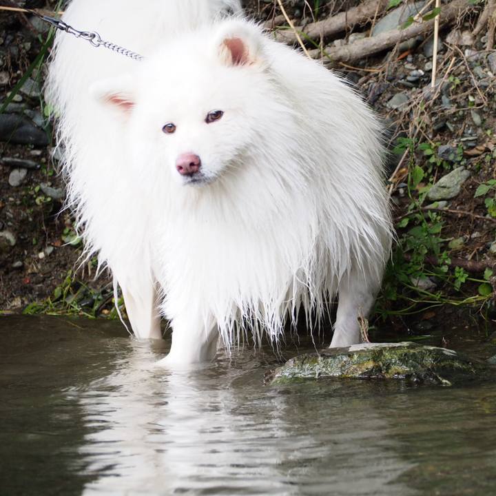 Cfff98fe 257b 45f3 93c4 20b1300760c5