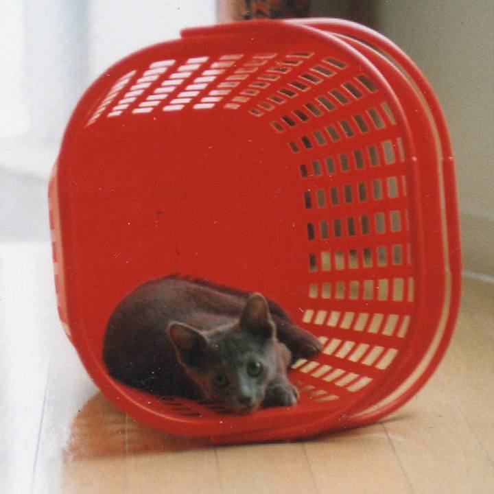 D000e138 ed9d 4338 957d 5a1cbc6848a8