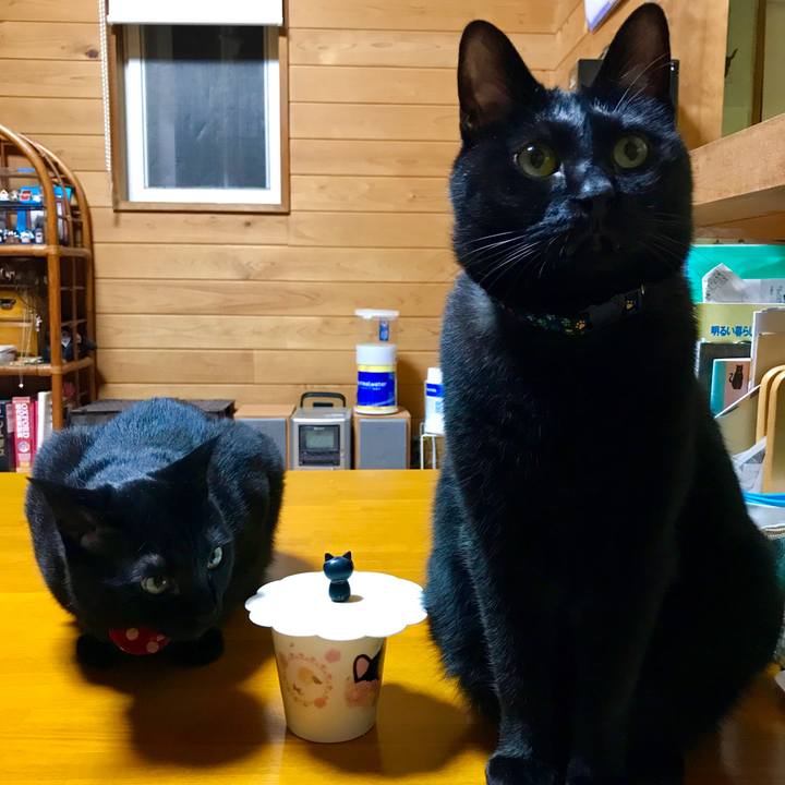 D00124a6 9456 4c98 91de d679dcb8e792