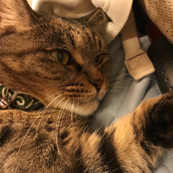 D0015937 6ebc 40d2 b722 81e07fc85720