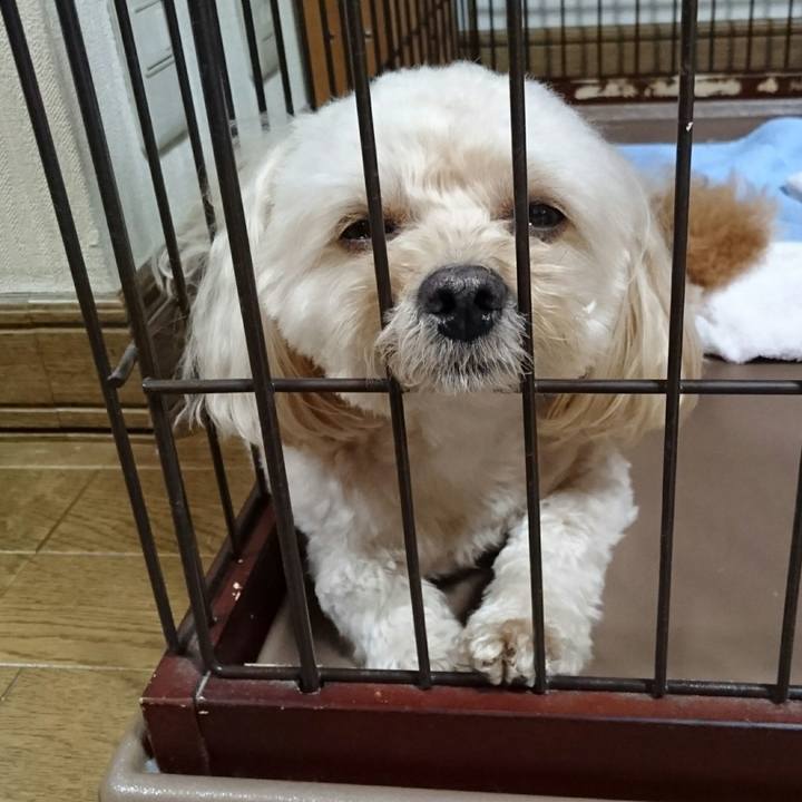 D00162ec a885 434a be20 d81cf4a2b91c