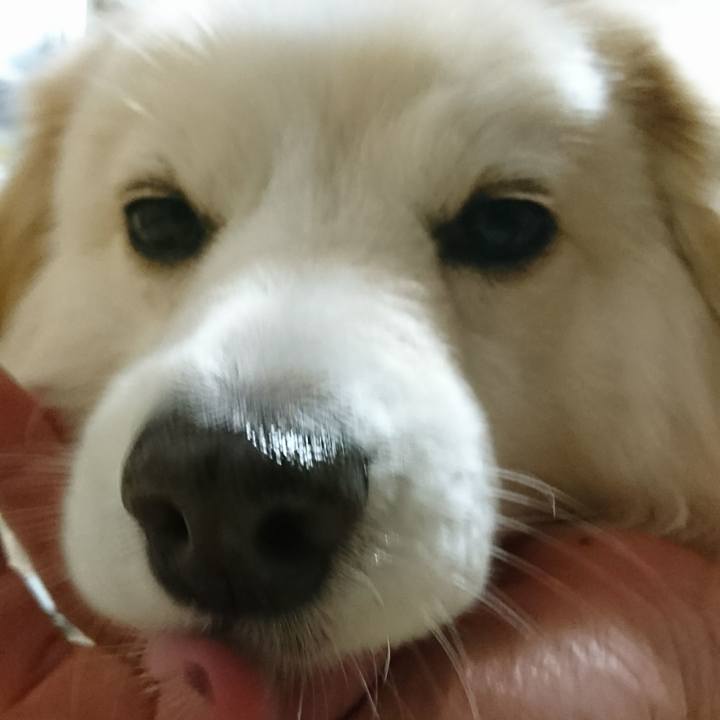 D002bfa9 aaf1 4f02 9cbf e745112ef15b