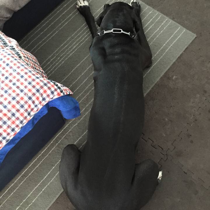 D0031ea9 a408 44e7 ac11 052bc057f3e5