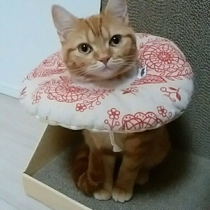 D0040d77 ff82 4cd6 80eb c3ae7b6d9e2b