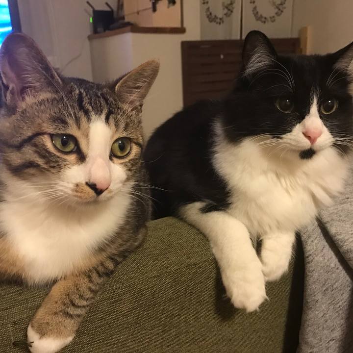 D004993b 74e3 447f 9b4c 20b2761654ee