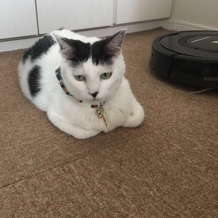 D004ce09 0377 4dc8 a736 a53aecefd3b0