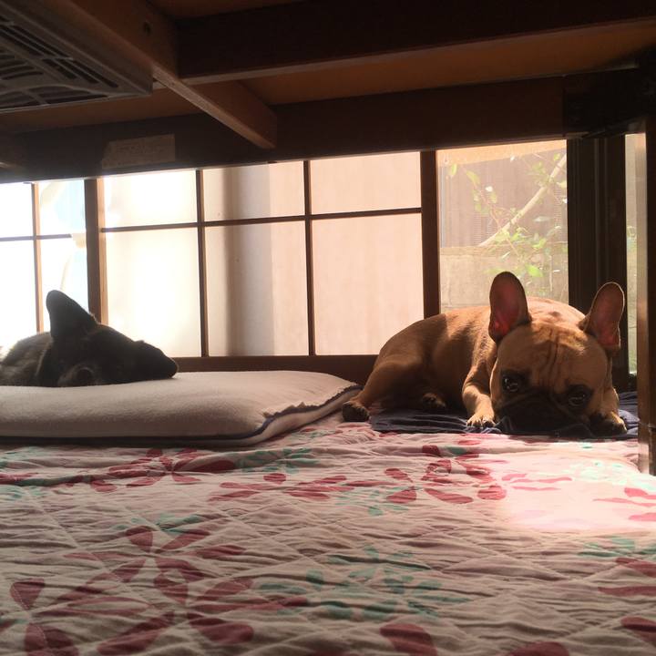 D00543c0 3ba4 4cde 82f7 86b9474db55d