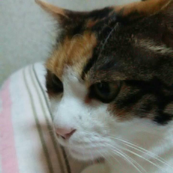 D0059ef8 20f8 4e78 a92e 13247cf9369b