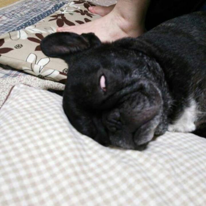 D0062ffd 0950 45da 979b e426265b7c71