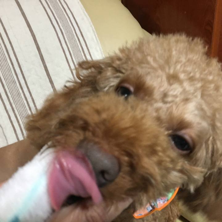 D006e533 6b21 4187 85e8 79048d3ae14a