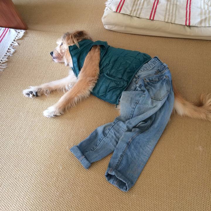 D0071f2f 4788 43c7 9c38 61d031d95f58