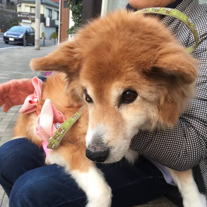 D007d9d1 7409 4733 a9bb 491b20e3253e