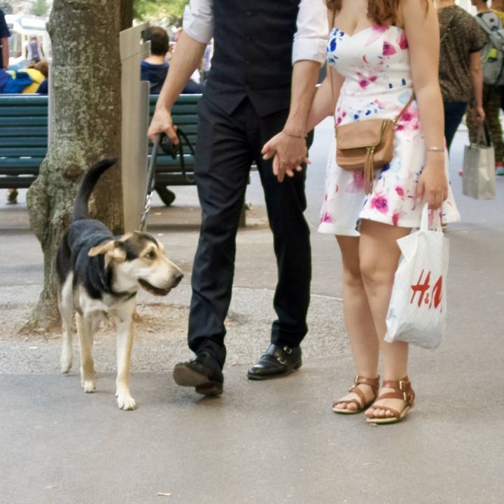 D0080055 890d 45b9 8b80 c0dda58fcf5c