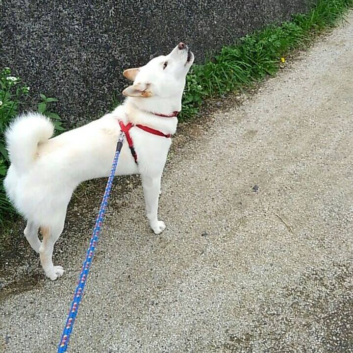 D00864f0 c52b 40d3 bb85 8b6a81fa0a91