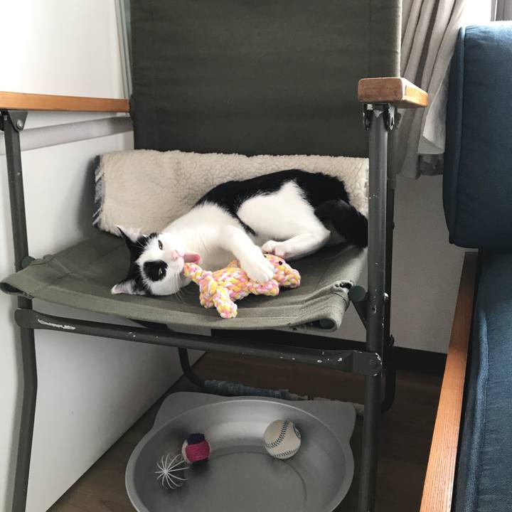 D009230f 4aea 404e b9a1 a4594b1d4411