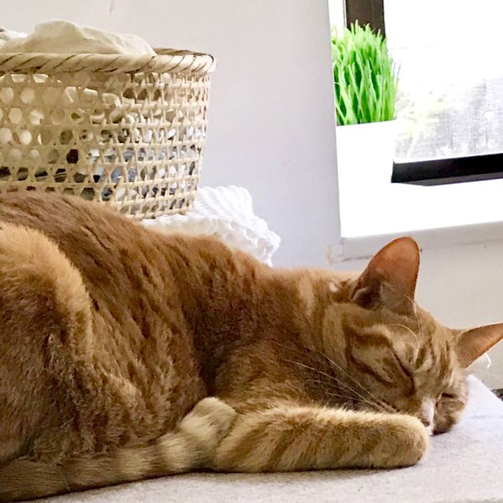 D009e006 13cd 4c85 b442 1393c8ef3c57