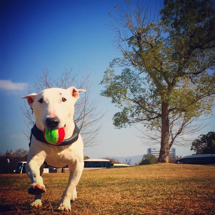 D00a5f66 482d 4800 8a28 02e4453628ed