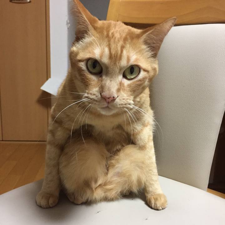 D00a8ffd 8295 42ea b5e6 e0b67efd91de