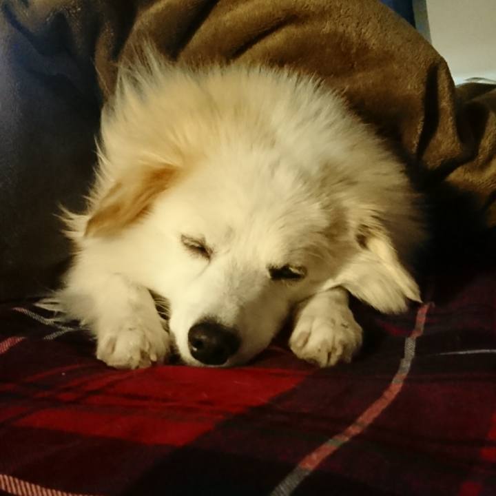 D00ac695 6e00 451c b99e e48a240c441e