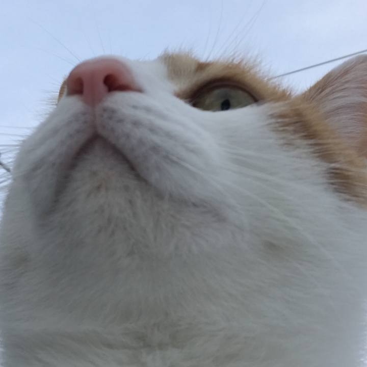 D00adcc6 ffb7 4eb1 bc5a 6f029c1dacd7