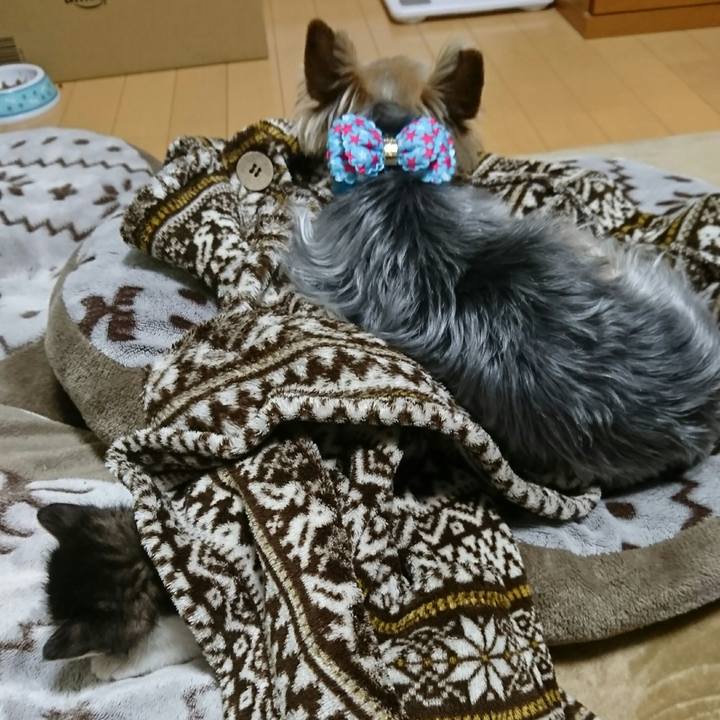 D00b2d37 8da2 4f7e b113 ba2c346da12b