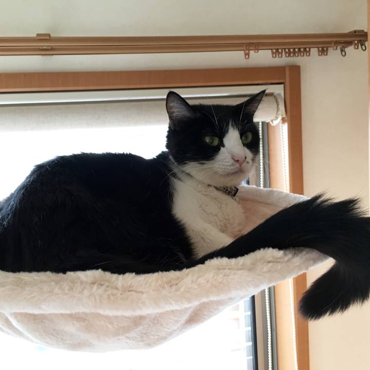 D00be478 1840 437c b307 de2ae411b03e