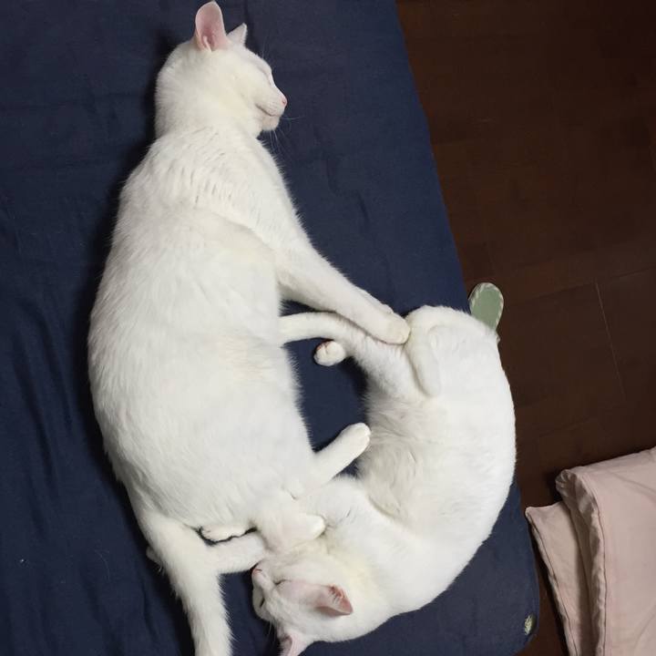 D00c5697 628e 4af8 9cb9 43d928f08cfe