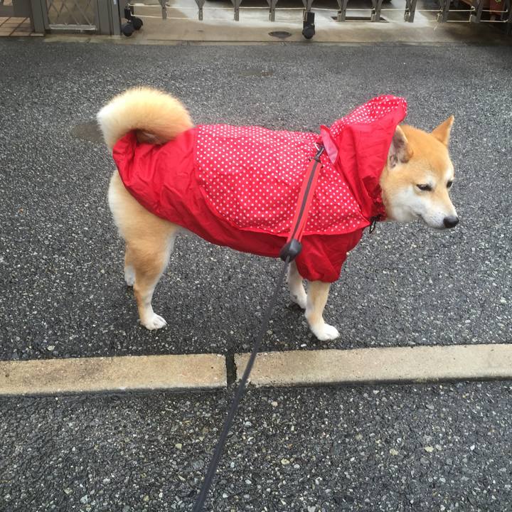 D00c637d 9696 4f58 83e5 158d5415480c