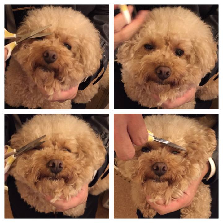 D00c7571 e85c 4f8d 8894 e1886d41fe5d