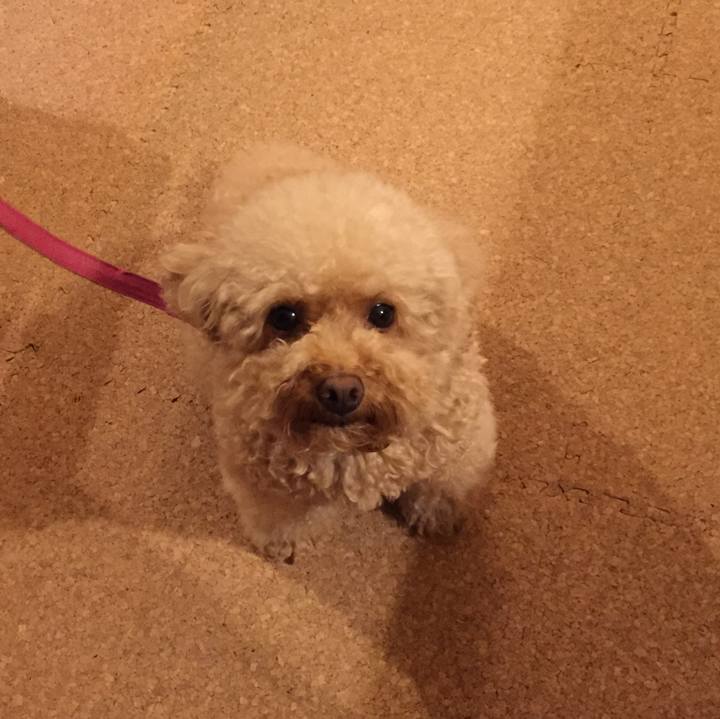 D00c91e8 2904 4772 985d 14225df20943